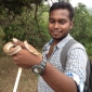 Terin Jomics L