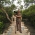 PARTHA DAS